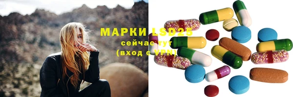 apvp Болотное