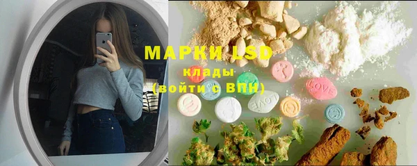 винт Верея