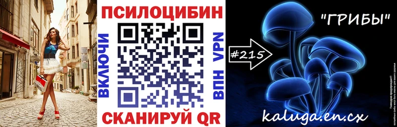 ОМГ ОМГ ТОР  Гвардейск  Псилоцибиновые грибы Cubensis 