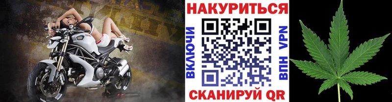 Бошки марихуана SATIVA & INDICA  Гвардейск 